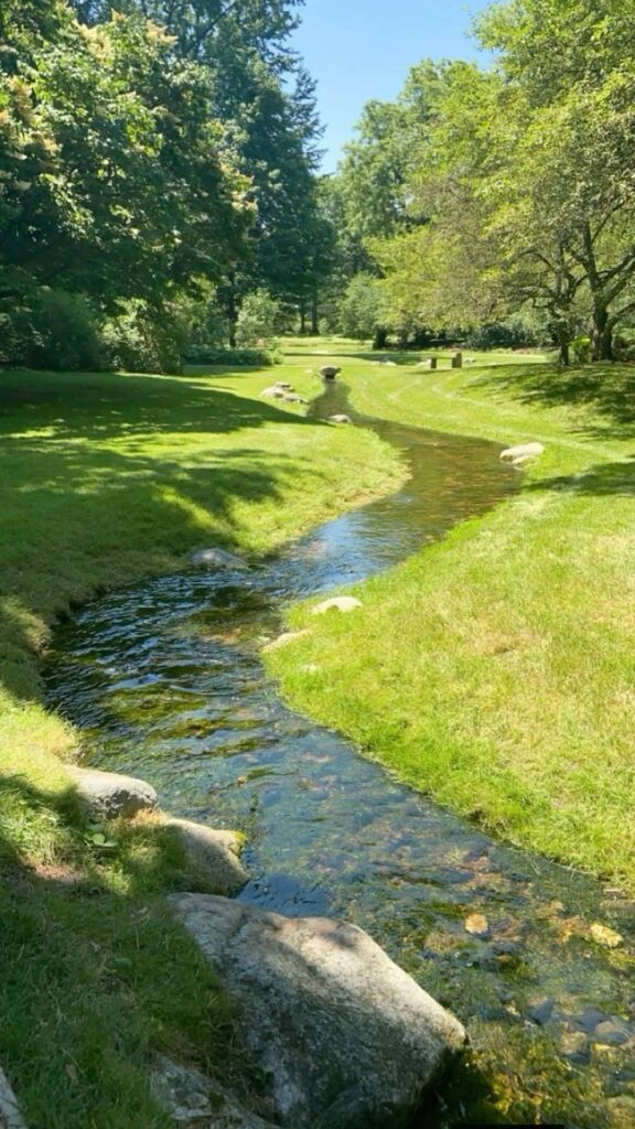 Green river flowing down into a tunnel surrounded by forrest